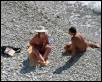 nudist beach